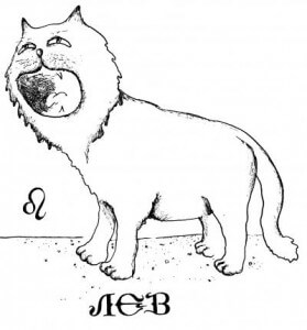16036