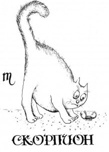 16039