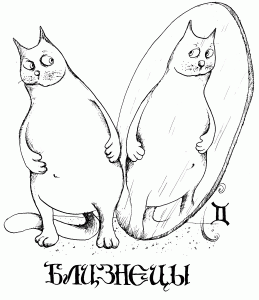 cat_003